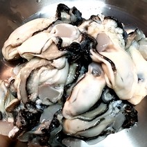 [해미수산] 바다품은 통영 깐 생 굴 1kg, 대굴 1kg