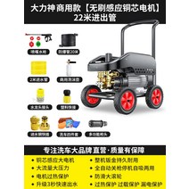 고압세차기 고압세척기 세차건 검은 고양이 세인트 일반 자동차 세탁기 가정용 220V 물총 워터 펌프 브러시 유물 강력한 바닥 잡아, 1. Daliwang 상업용 모델 [Brushless