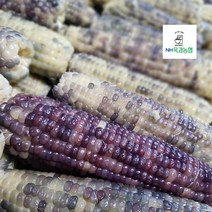 옥과농협 처음처럼 냉동 찐 흑찰옥수수 진공포장 16CM이상 3개입, 4팩