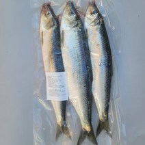 가덕도농수산 구이용 냉동/생물 청어 석쇠숯불구이 야외캠핑요리, 01.냉동3마리 1팩