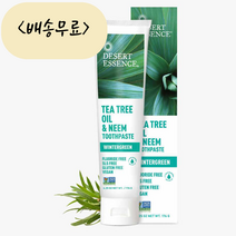 데저트에센스 티트리 오일 앤 님 윈터그린 176g 치약, 1개