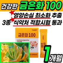 식 약 처인증 적합검사 금은화 100 고농축 고품질 스틱 분말 가루 파우더 차 그믄화 인동 덩굴 꽃봉오리 인동초 추출 물 위 위장 에좋은 건강 식품 tea 마시는 간편한 티백, 1개월(30개)