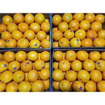 프레시마켓 오렌지 12brix 정품 호주산 네이블 오렌지 대과 15과 20과 대용량 8.5kg 17kg