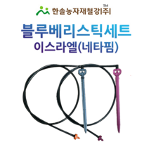 블루베리스틱 세트 네타핌 미니쿨러 관수자재 한솔농자재철강, 한방향 12L/H x 1M (보라)
