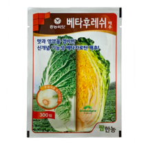가을 김장씨앗 항암배추 배추씨 땅콩배추 베타후레쉬 300립 팜한농, 1개