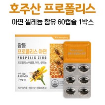 호주 프로폴리스 추출물 프롤폴리스 캡슐, 1박스, 60캡슐