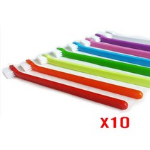 SKT730841WK 쥬쥬베 미니칫솔 1p X10(랜덤) 반려동물 치아관리