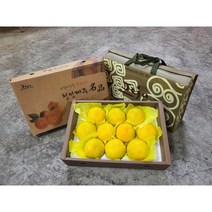 제수용 제주 황금향 감귤 2kg 3kg 5kg선물용 제주황금향, 5kg(14~24과)