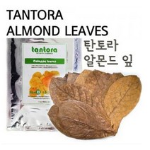 탄토라 알몬드잎 NANO 15매, 1개