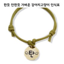 강아지 고양이 인식표, 그린, 1개