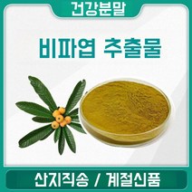 소율국제 비파 잎 비파나무 잎 추출물 농축 분말 가루, 10:1, 200g, 1봉