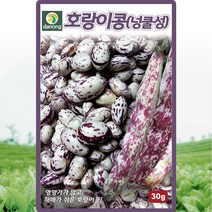다농 호랑이콩(넝클성)씨앗 30g, 1개