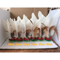 LLD 제기차기 콕, 화이트16CM한박스60개작은털포함