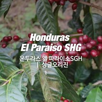감탄커피 1kg 온두라스 엘파라이소 SHG 원두커피 싱글오리진 HACCP 당일로스팅 햇생두 뉴크롭, 홀빈 분쇄안함