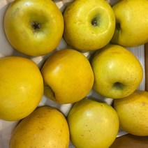 시나노 골드 황금사과 노란사과 사과 스위트 2kg 3kg, 시나노골드 가정용 2kg 7-10과