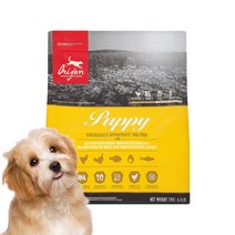 오리젠 반려견 퍼피 건식사료, 닭, 2kg, 1개
