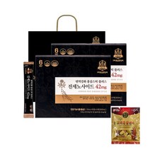 진세노사이드 42mg 10ml x 30포 2박스 (홍삼캔디증정) 면역강화 홍삼스틱 플러스