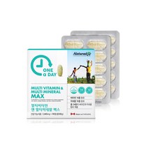 네추럴라이즈 원어데이 멀티비타민 앤 멀티미네랄 맥스 1 445mg x 90정, 1개
