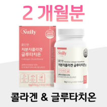 피쉬 저분자 물고기 콜라겐 글루타치온 효모 초저분자 콜라겐 홈쇼핑 프리미엄 영양제 성분 효능 가격 비교, 2박스, 500mg x 60정 (하루 2정)