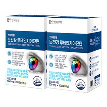 타이거아울렛 루테인 지아잔틴 눈건강 30캡슐 x 2박스 약2개월분 셀렌 아연 구리 빌베리 눈에좋은 눈노화 눈피로 황반변성 노안 온가족 청소년 눈영양제, 단품, 단품