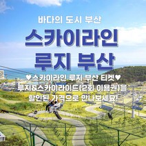 [스카이라인 루지 부산] 루지&스카이라이드 2회 이용권/할인권