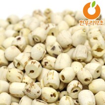 연자육 1200g 연씨 연밥 연꽃씨 효능 먹는법, 깐연자육1200g, 1개
