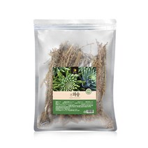 국내산 건조 와송 바위솔 와송차 100g