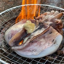 봉선장 서해안 손질 갑오징어 6마리, 중 6마리 (430g x 2)