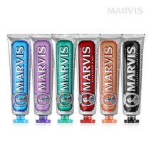 마비스 치약 5종(85ml)+칫솔 1개 선물세트+쇼핑백, 단품