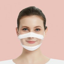 이피다투명창마스크 10매입 입 이는 방송 청각장애인 수화 수업 강의 언어 교육 대량주문가능, 이피다투명창마스크-10매/대형L