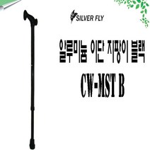 기본 보급형 이단 고령자용 시크한 블랙색상 지팡이, 본상품선택