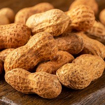 고소함 가득 국산 햇땅콩 피땅콩 생 흙땅콩 2kg, 02_2kg, 1개