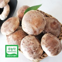[더자연] 산해리 경북 영양 무농약 버섯 착한 송이 450g 중품, 1개