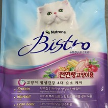 비스트로 뉴트리나 비스트로 고양이 사료 6kg 300gx20봉 mg151ea, 본상품선택