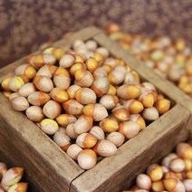 국산 은행 탱글탱글 깐은행 피은행 500g 1kg, 피은행 대 1kg