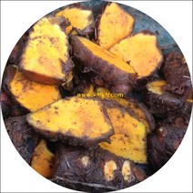 울금종근_원순광 종자울금, 원순광 종자 1kg, 1개, 1kg