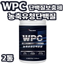 WPC 농축단백질 농축유청단백분말 BCAA 유청 동물성 단백질 보충제 류신 로이신 L로이신 헬스 프로틴 파우더 portein 필수 아미노산 대두레시틴 보디빌더 식사대용 운동후, 2개