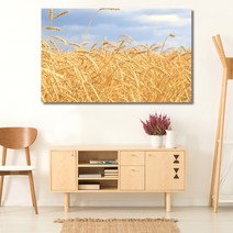 벼이삭 가을 와이드 풍경 사진 그림 액자 20호(73x46cm)