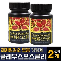 콜레우스포스콜리 정 포스콜린 추출물 분말가루파우더 다이어트 보조제 체지방감소 도움 컷팅제 효능 추천, 60정 2개