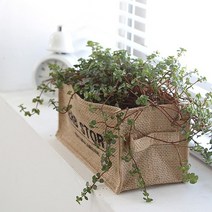 내추럴 쥬트 화분 커버 (2type) 인테리어 조화 가든 꾸미기 소품, 사각(그린-가든플라워)