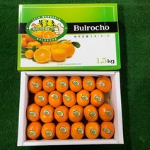 청정제주 불로초 감귤, 불로초 감귤 3kg 31~51과