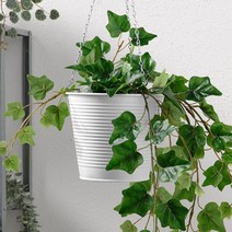 이케아 정품 CASHEWAPPLE 카스헤베플레 걸이 화분 실내외겸용, 12cm