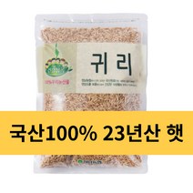 당일발송) 23년산 국산 햇귀리, 2개