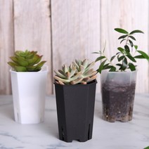 팔각 롱 플라스틱 슬릿화분 투명 제라늄 플분 삽목 삽수, 팔각 롱슬릿화분(화이트) XL