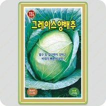 그레이스 양배추 씨앗 500립 KS 조생종
