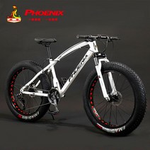 MTB 산악자전거 광폭타이어 여성용 오프로드 고성능 학생용 팻바이크 성인용, 30단, 26인치, 화이트 파이톤 눈 펀칭휠