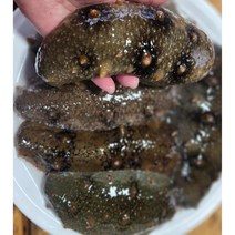 거제도해삼 해녀가 채취한 자연산 활해삼 500g, 1개