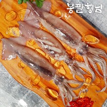 국산 생물 한입 오징어 1kg (8-10마리), 단품