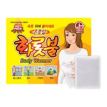 TPG 온종일 화롯불 손난로(붙이는 파스형 핫팩) 40g, 10개입