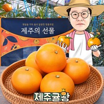 귤왕 농장 직배송 제주 하우스 천혜향 2kg 3kg 5kg 가정용 명절 설 선물세트, 10.천혜향 가정 대과5kg 28과내외